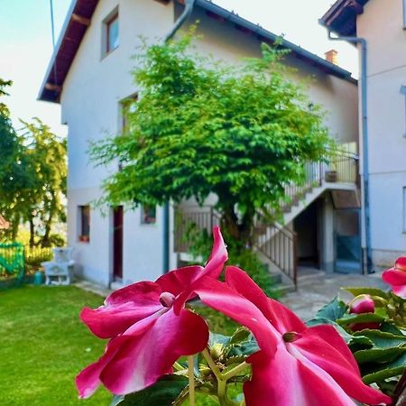 Apartman Amila Saraybosna Dış mekan fotoğraf